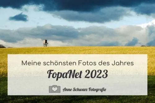 FopaNet 2023 - meine besten Fotos des Jahres