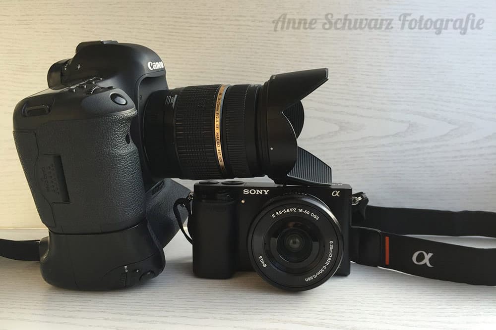 Canon 5D Mk III vs Sony a6000