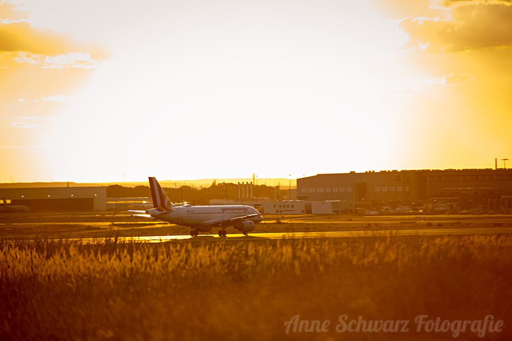 Flugzeuge spotten am Flughafen Köln/Bonn