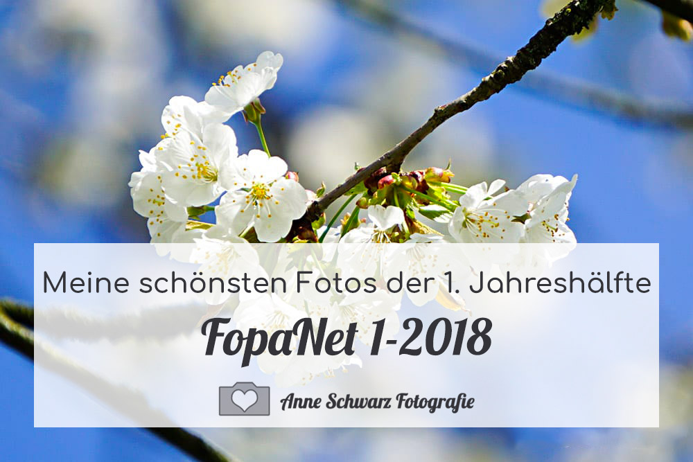 FopaNet 1-2018