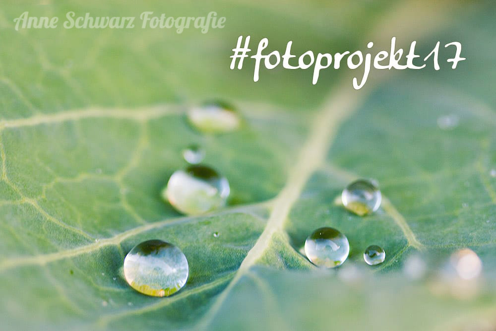 #fotoprojekt17 - Wasser