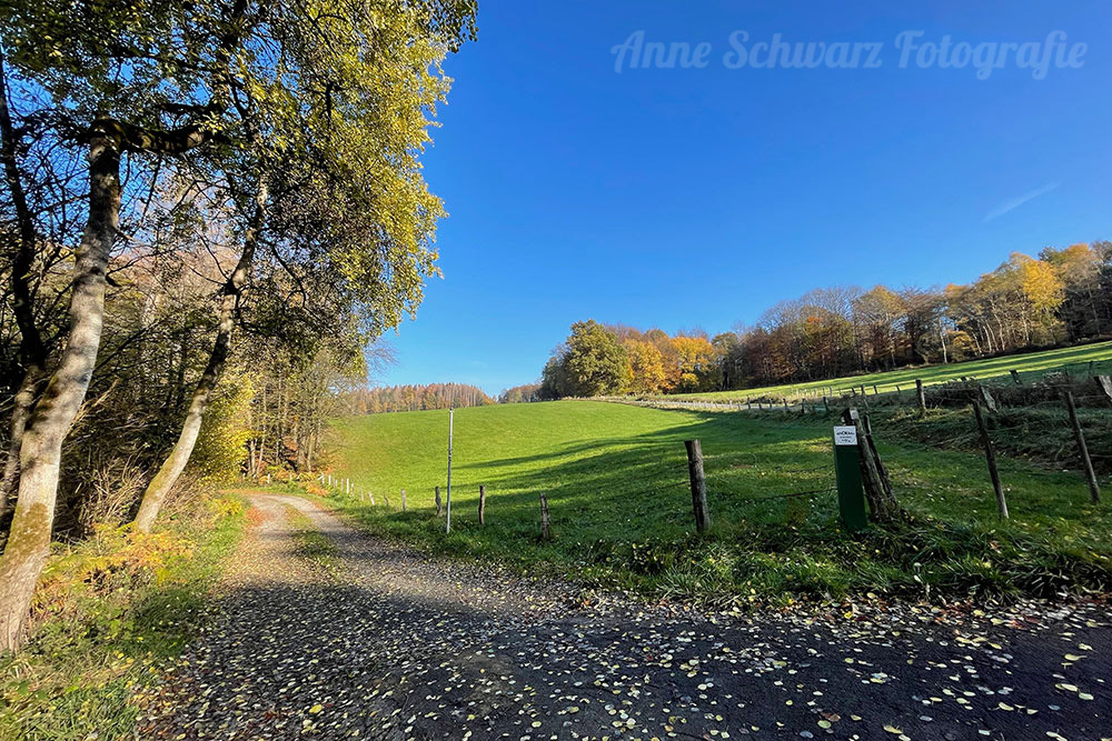 Fotos mit dem iPhone 12 Pro - Herbstlandschaft