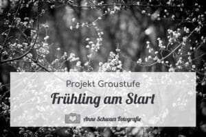 Projekt Graustufe - Frühling am Start