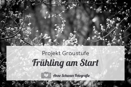 Projekt Graustufe - Frühling am Start