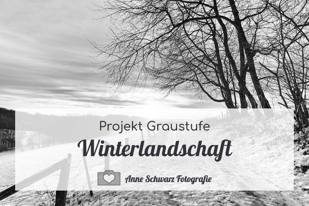 Projekt Graustufe - Winterlandschaft