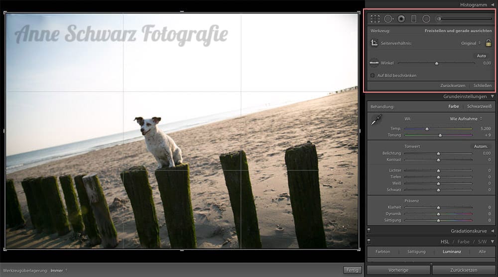 Workflow beim Fotografieren - Lightroom