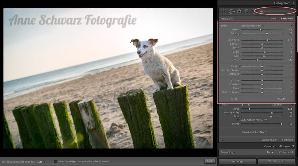 Workflow beim Fotografieren - Lightroom