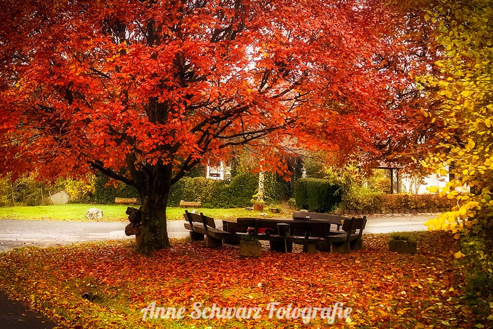 Dorfplatz im Herbst