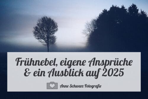 Frühnebel, eigene Ansprüche & ein Ausblick auf 2025