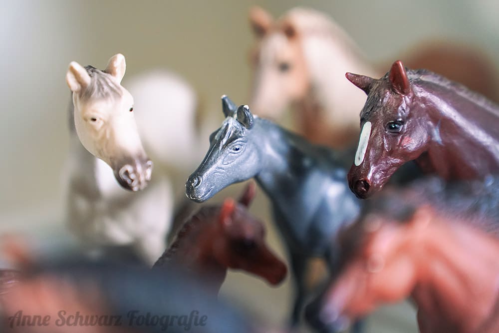Projekt 52 - Dekoriert - Schleichpferde
