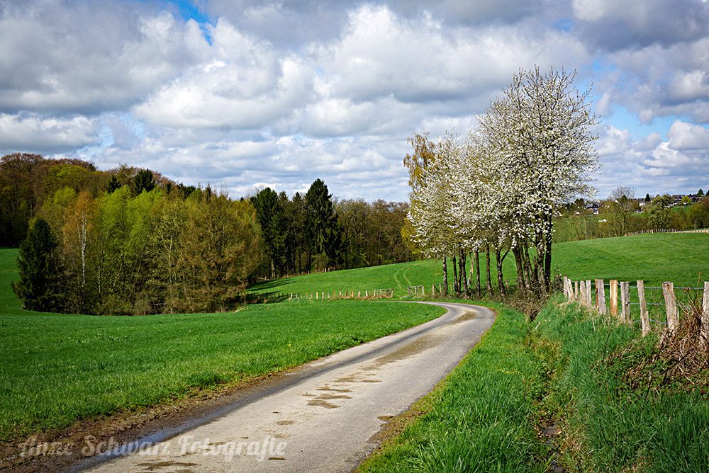 Frühlingslandschaft