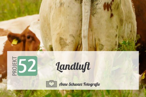 Projekt 52 - Landluft