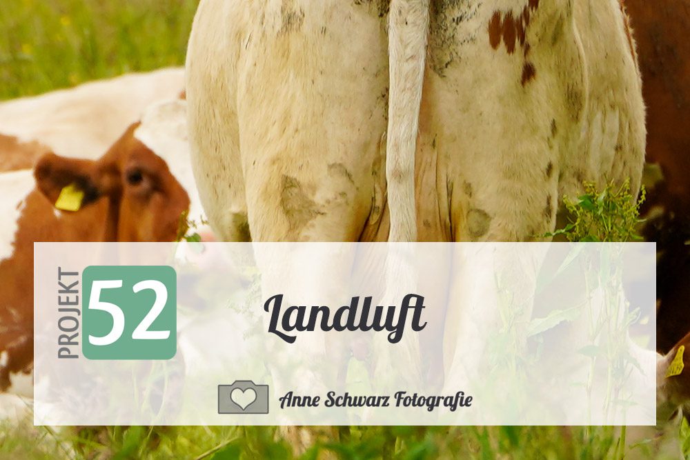Projekt 52 - Landluft