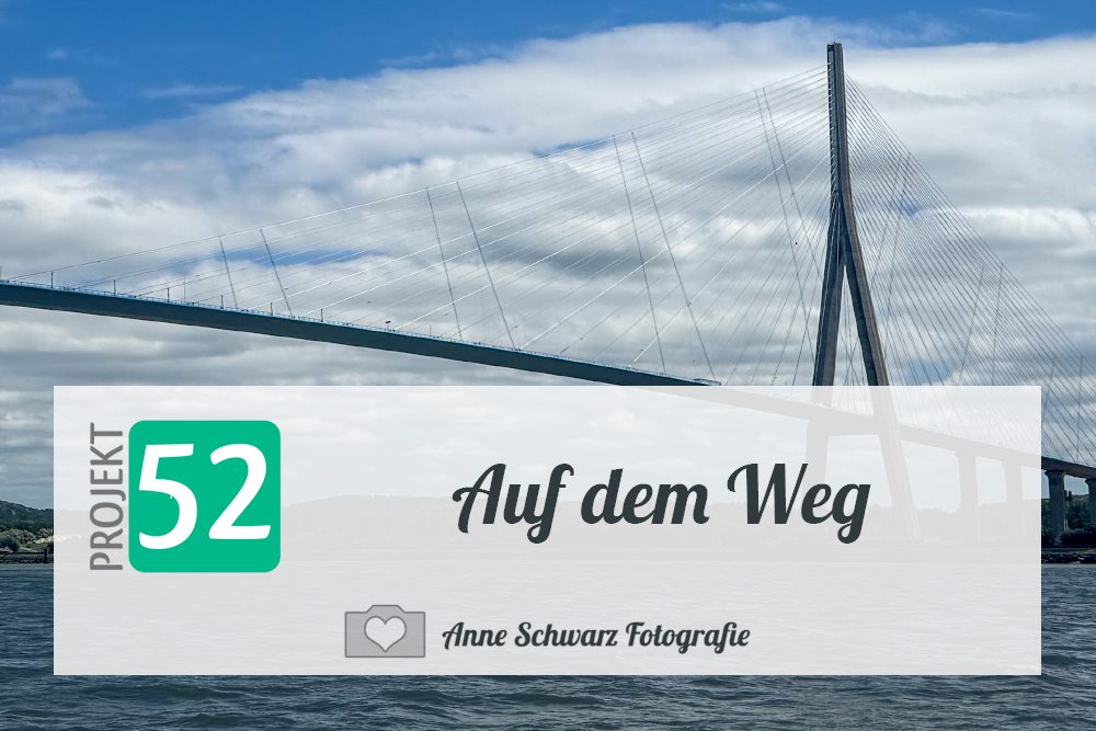 Projekt 52 - Pont de Normandie