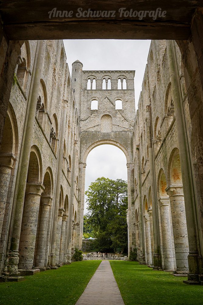 Ruine der Abtei in Jumièges