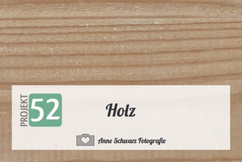 Projekt 52 – Holz